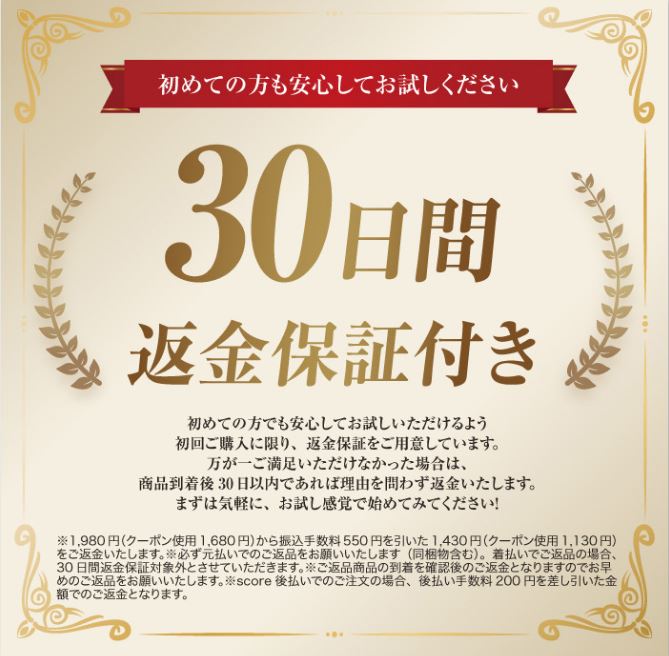 30日間返金保証付き